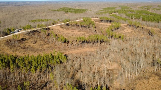 45 Saddleback Dr, Dover, TN 37058