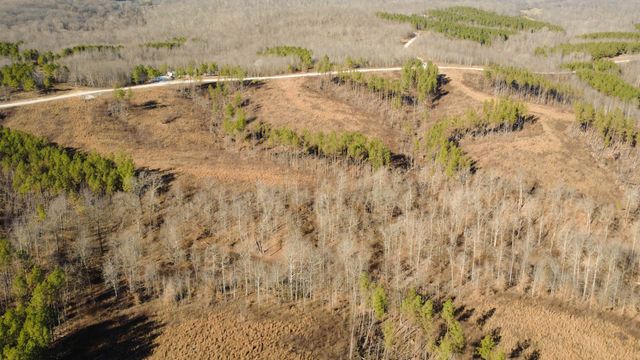 45 Saddleback Dr, Dover, TN 37058