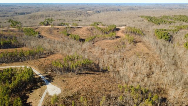 45 Saddleback Dr, Dover, TN 37058