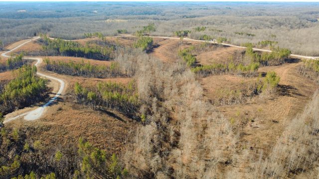 45 Saddleback Dr, Dover, TN 37058