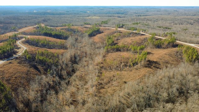 45 Saddleback Dr, Dover, TN 37058