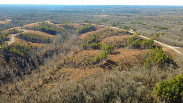 45 Saddleback Dr, Dover, TN 37058