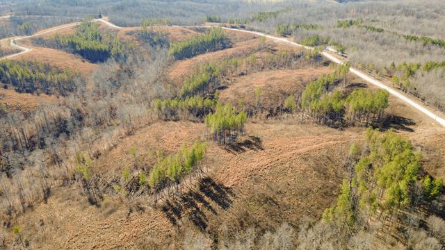 45 Saddleback Dr, Dover, TN 37058