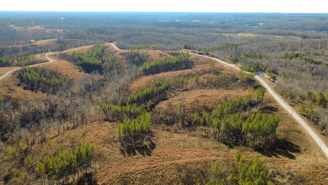 45 Saddleback Dr, Dover, TN 37058