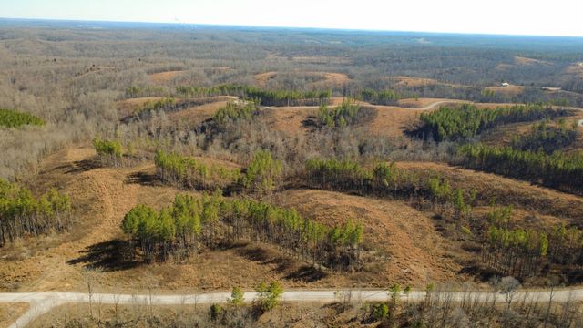 45 Saddleback Dr, Dover, TN 37058