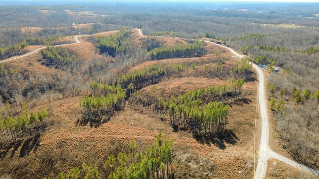 45 Saddleback Dr, Dover, TN 37058