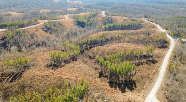 45 Saddleback Dr, Dover, TN 37058