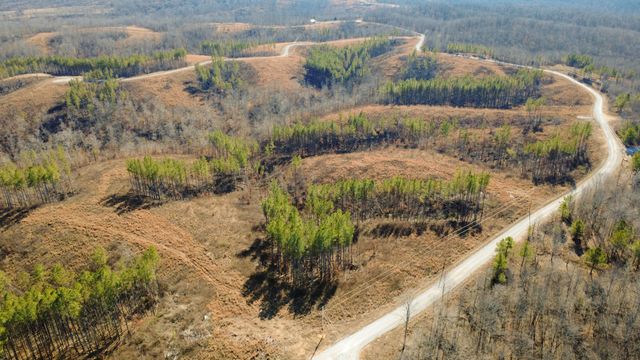 45 Saddleback Dr, Dover, TN 37058