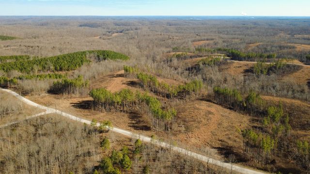 45 Saddleback Dr, Dover, TN 37058