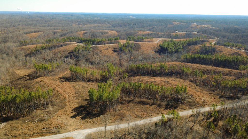 45 Saddleback Dr, Dover, TN 37058