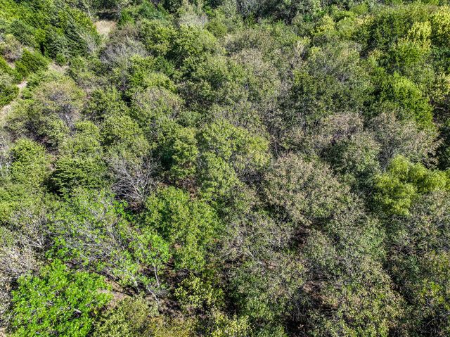 2473 County Road 2130, Cooper, TX 75432