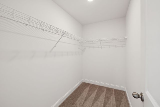 1082 Large Poppy Dr, La Vergne, TN 37086