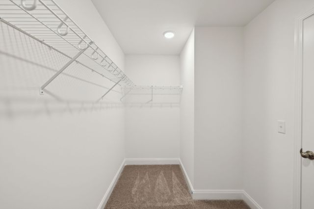 1082 Large Poppy Dr, La Vergne, TN 37086