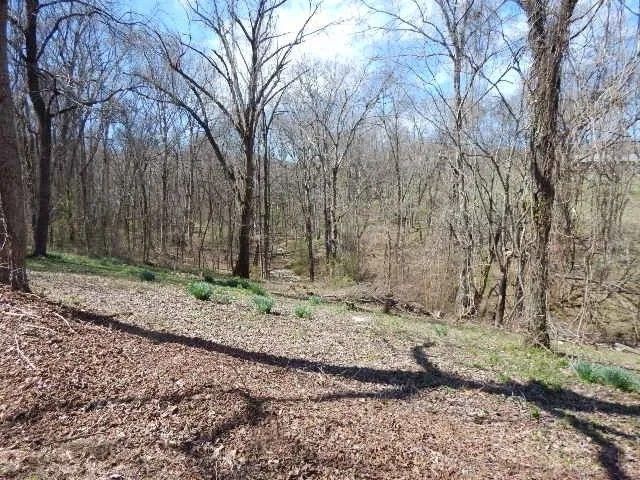 126 Jones Hollow Rd, Mcminnville, TN 37110