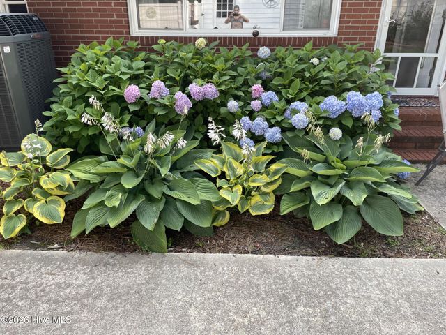 302 Oak Drive, Washington, NC 27889