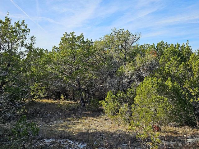 6438 Shaw DR, Marble Falls, TX 78654