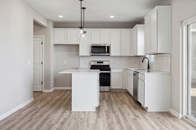 15022 Askeaton Place, Rosemount, MN 55068