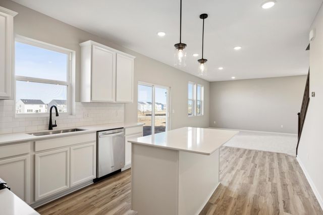 15022 Askeaton Place, Rosemount, MN 55068