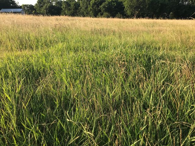 0004 County Road 496, Princeton, TX 75407