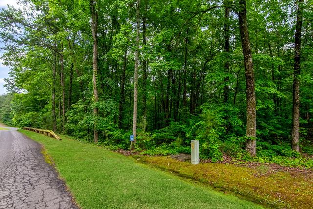 Lot 44 Harris Creek Drive, Ellijay, GA 30540