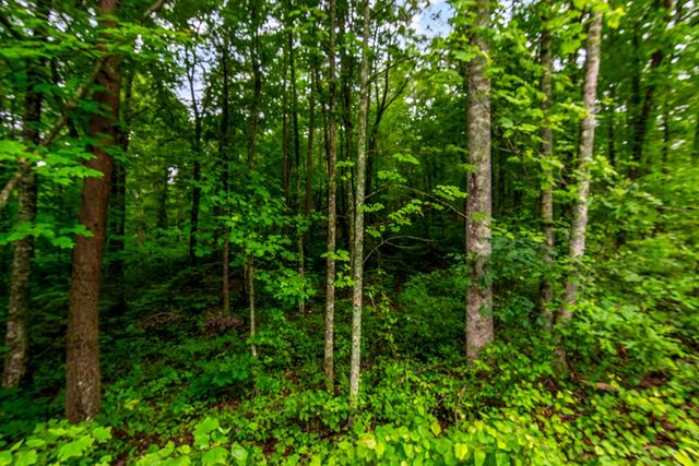 Lot 44 Harris Creek Drive, Ellijay, GA 30540