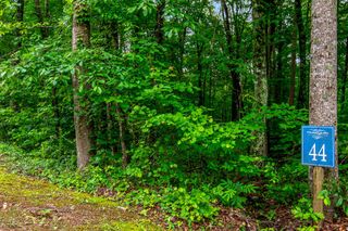 Lot 44 Harris Creek Drive, Ellijay, GA 30540
