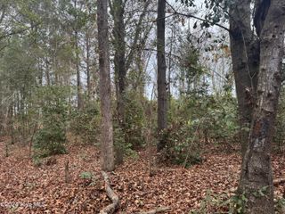 0 Nc 53 Highway, White Oak, NC 28399