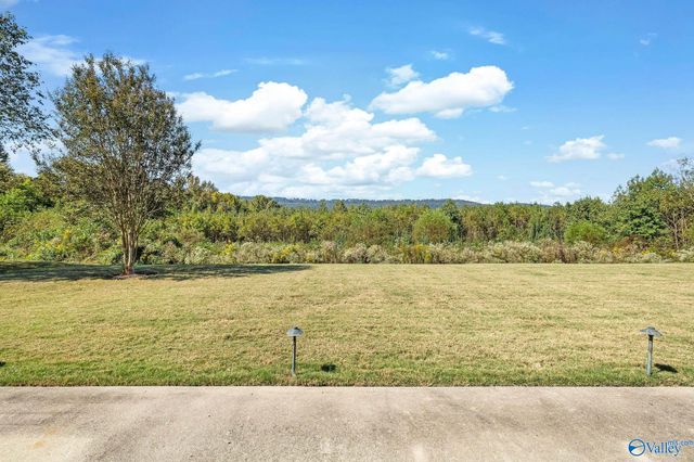 2516 Caldwell Park Court, Owens Cross Roads, AL 35763