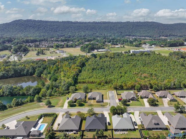 2516 Caldwell Park Court, Owens Cross Roads, AL 35763