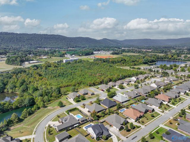 2516 Caldwell Park Court, Owens Cross Roads, AL 35763