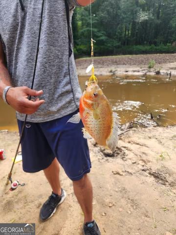 326 Turkey Run, Dublin, GA 31021