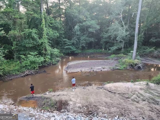 326 Turkey Run, Dublin, GA 31021