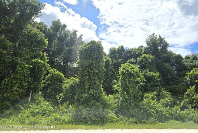 0 Alloy Street, Webster, FL 33597