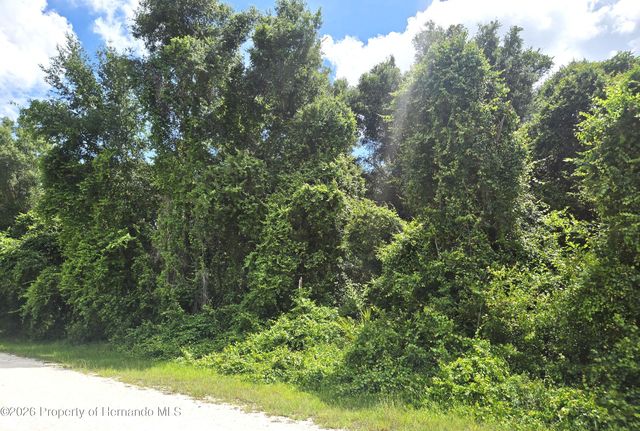 0 Alloy Street, Webster, FL 33597