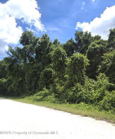 0 Alloy Street, Webster, FL 33597