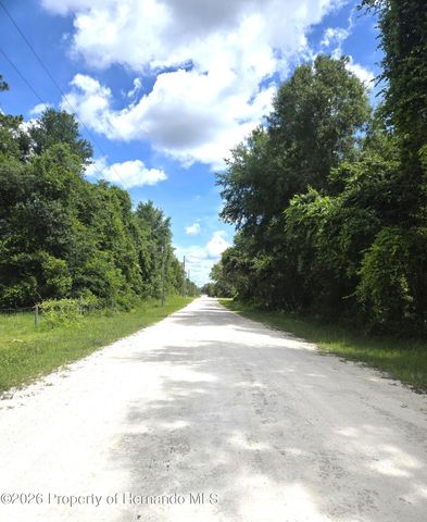 0 Alloy Street, Webster, FL 33597