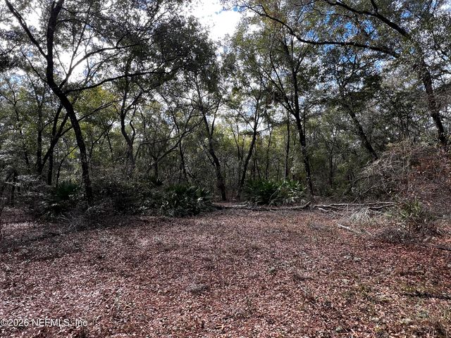 141 Woodland Lane, Hawthorne, FL 32640