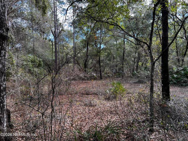 141 Woodland Lane, Hawthorne, FL 32640