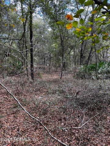 141 Woodland Lane, Hawthorne, FL 32640