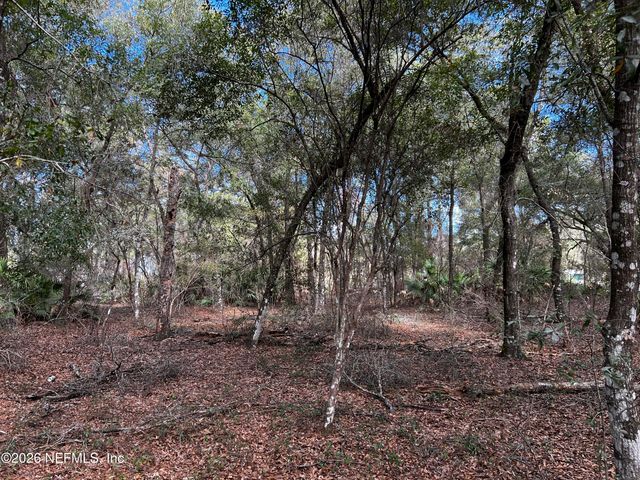 141 Woodland Lane, Hawthorne, FL 32640