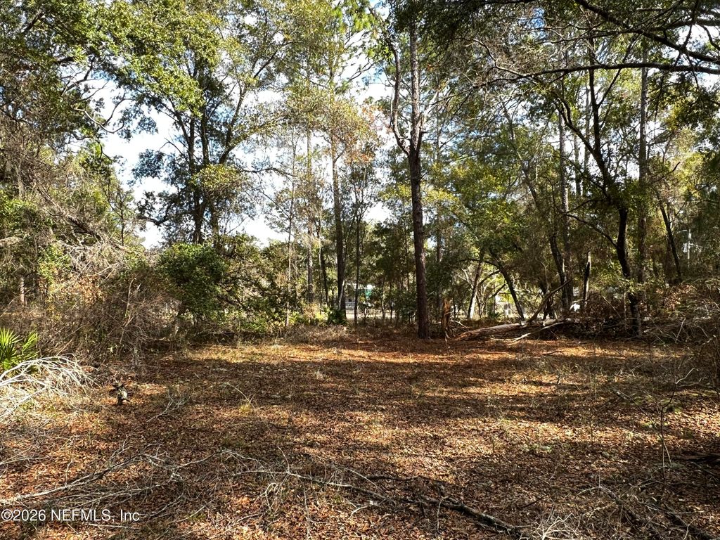 141 Woodland Lane, Hawthorne, FL 32640