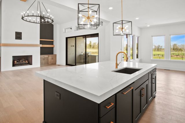 1539 Divine Court, Arrington, TN 37014