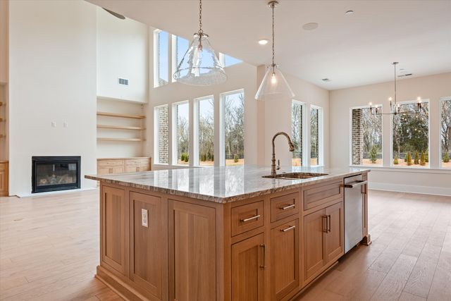 1539 Divine Court, Arrington, TN 37014