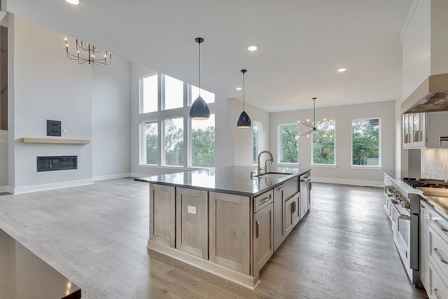 1539 Divine Court, Arrington, TN 37014