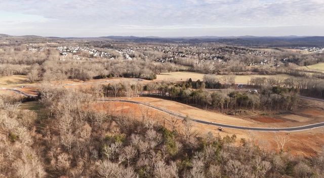 1539 Divine Court, Arrington, TN 37014