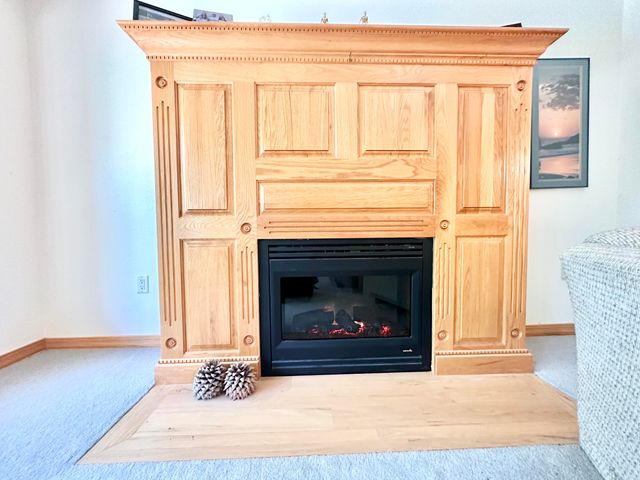 9654 County Road 2680, Mountain View, MO 65548