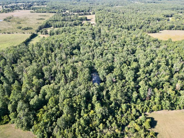 9654 County Road 2680, Mountain View, MO 65548