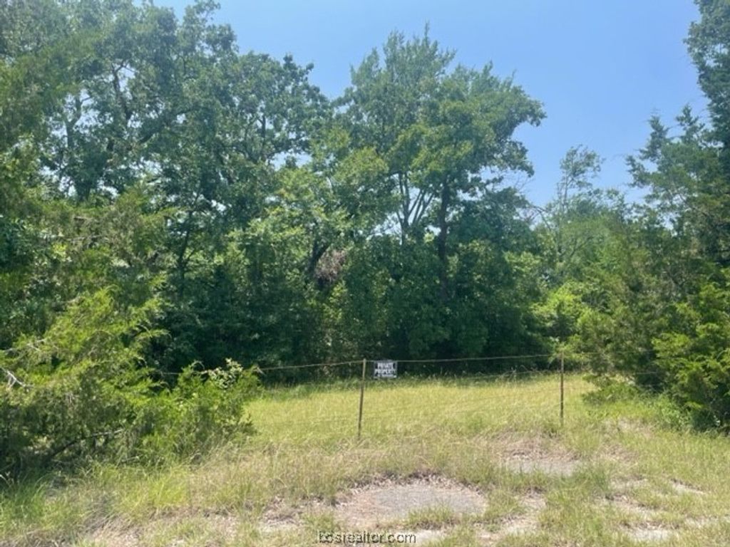 4731 Silver Hill Road COB, Bryan, TX 77807 — photo 4