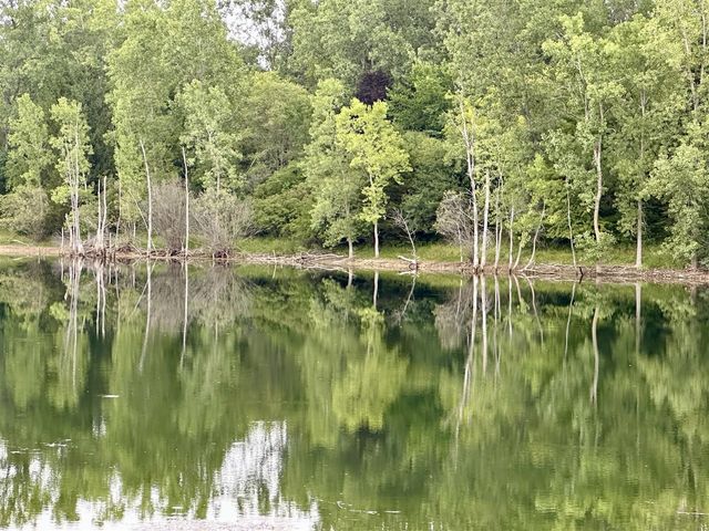 5295 Bear Lake Drive, East Lansing, MI 48823