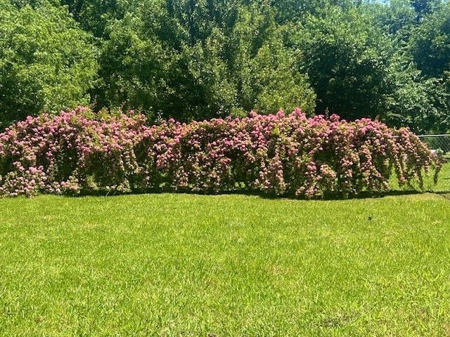 218 Wight Street, Roxton, TX 75477